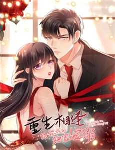 波波熊猫吉吉虎