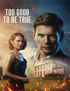 斯嘉丽小姐探案集 第五季