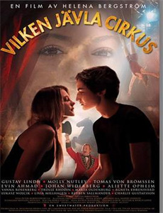 大工告成——北京大兴国际机场