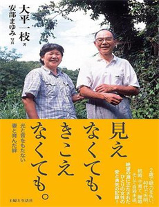 夏日菊花茶前传