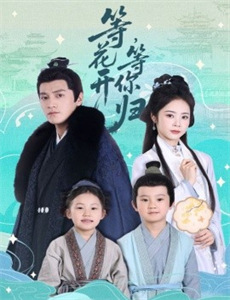 面包和汤和猫咪好天气