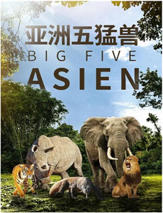 选择系统,重回高考前