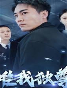 爱妻日记之盛宴